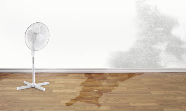 Trusted Marietta, OH Water damage restoration Experts