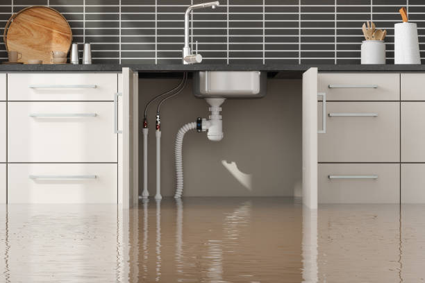 Best Water damage cleanup near me  in Marietta, OH
